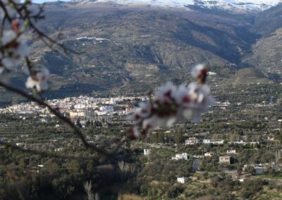 Paisaje y territorio: investigación paisaje de la Alpujarra, criterios