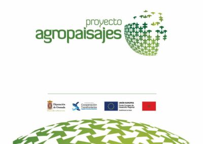 Estudios históricos de bienes patrimoniales, Diputación de Granada