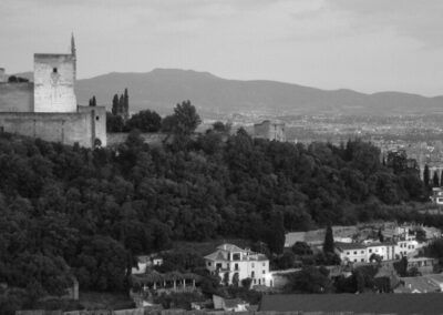 Servicio de información turística temporada de verano, Patronatro de la Alhambra y Generalife