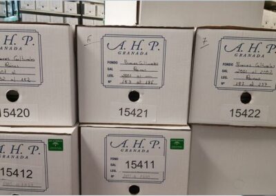 Evaluación y tratamiento de fondos del Archivo Histórico, Consejería de Cultura, Turismo y Deporte